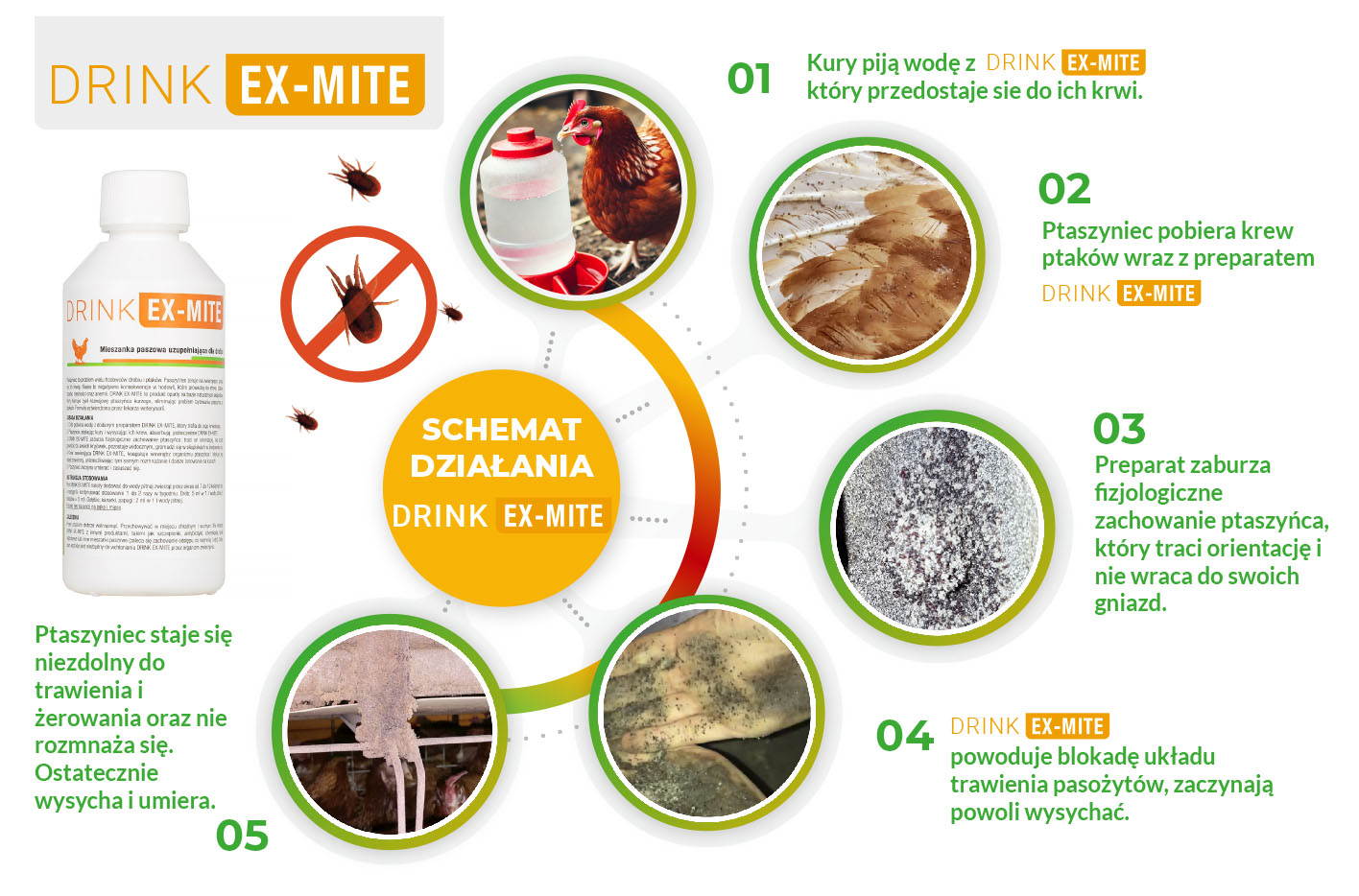 drink ex-mite schemat działania