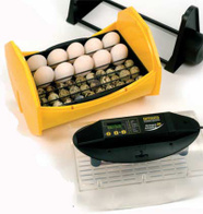 Inkubator Octagon 20 Advance AUTO