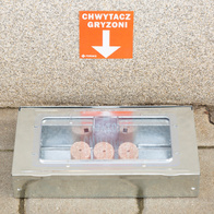 Naklejka na ścianę chwytacz gryzoni