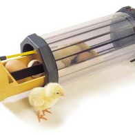 Inkubator Octagon 10