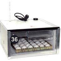 Inkubator PIO 36 Auto
