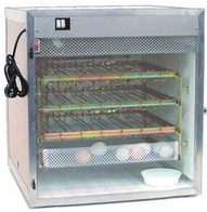 Inkubator Sigma 168 AUTO