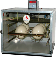 Inkubator dla strusi Sigma 4 AUTO-X