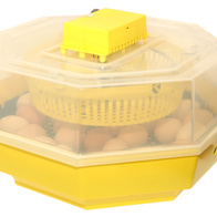 Inkubator domowy iBator Home 60