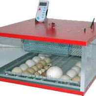 Inkubator iBator 82 półautomatyczny