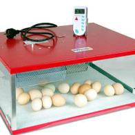 Inkubator iBator 82M hobby