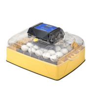 Inkubator lęgowy Ovation 28 Zoologica dla ptaków egzotycznych