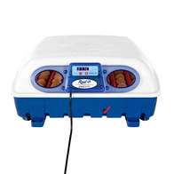 Inkubator półautomatyczny do jaj Borotto Real 49 na wszystkie gatunki jaj