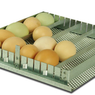 Taca uniwersalna 24 półautomatyczna do inkubatorów iBator