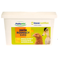 Witaminy dla drobiu POLFAMIX DRÓB ROSNĄCY EXTRA 1 kg