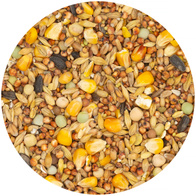 Karma dla gołębi całoroczna pełne ziarno Paszarnia Tradycyjna 25 kg